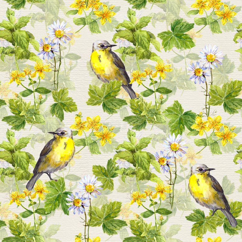 Modello ripetitivo: erbe selvagge, fiori, erba, uccello Acquerello floreale illustrazione di stock Modello ripetitivo: erbe selvagge, fiori, erba, uccello Acquerello floreale illustrazione di stock