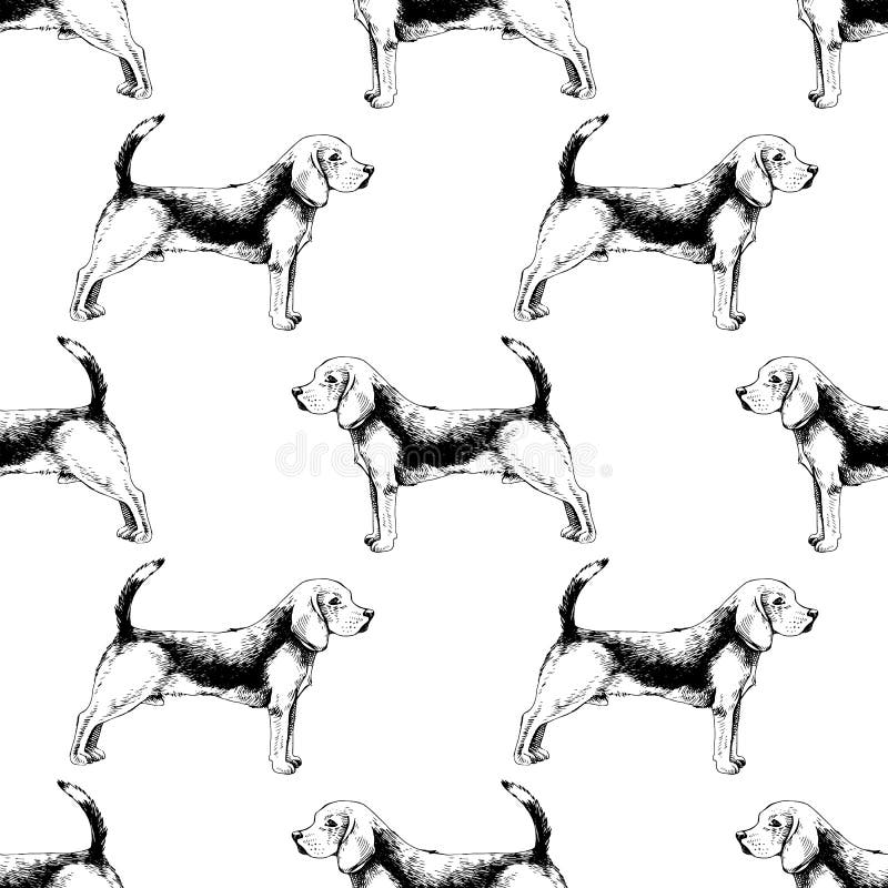 Modello senza cuciture con i cani da lepre illustrazione vettoriale Modello senza cuciture con i cani da lepre illustrazione vettoriale