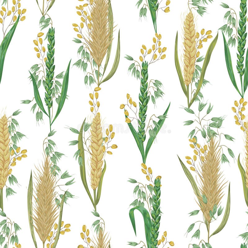 Modello senza cuciture con i cereali Orzo, grano, segale, riso ed avena royalty illustrazione gratis Modello senza cuciture con i cereali Orzo, grano, segale, riso ed avena royalty illustrazione gratis
