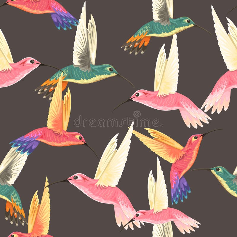 Modello senza cuciture con i colibrì illustrazione vettoriale Modello senza cuciture con i colibrì illustrazione vettoriale