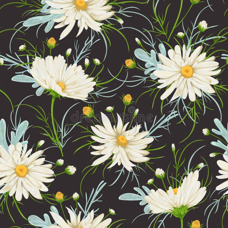 Modello senza cuciture con i fiori e l'artemisia bianchi della camomilla Fondo floreale rustico royalty illustrazione gratis Modello senza cuciture con i fiori e l'artemisia bianchi della camomilla Fondo floreale rustico royalty illustrazione gratis