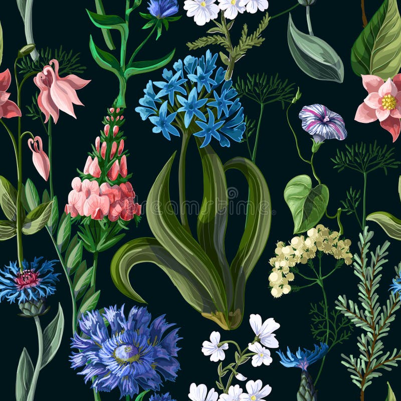 Modello senza cuciture con i fiori selvaggi su un fondo scuro Illustrazione di vettore royalty illustrazione gratis