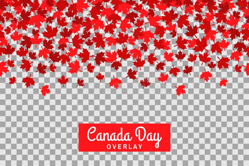 Modello senza cuciture con le foglie di acero per le prime della celebrazione di luglio su fondo trasparente Giorno del Canada