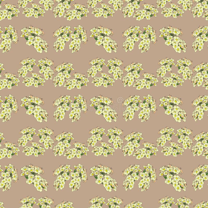 Modello senza cuciture con le spazzole dei fiori bianchi Illustrazione decorativa del quadro televisivo illustrazione di stock Modello senza cuciture con le spazzole dei fiori bianchi Illustrazione decorativa del quadro televisivo illustrazione di stock
