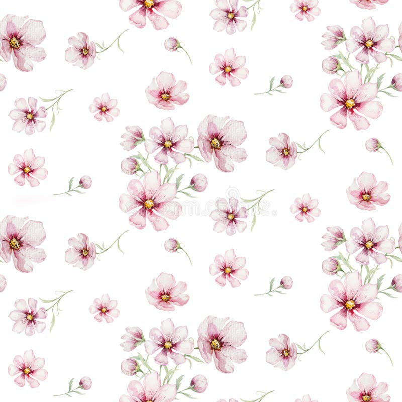 Modello senza cuciture dei fiori della ciliegia di rosa del fiore nello stile dell'acquerello con fondo bianco Fioritura di estat illustrazione vettoriale Modello senza cuciture dei fiori della ciliegia di rosa del fiore nello stile dell'acquerello con fondo bianco Fioritura di estat illustrazione vettoriale