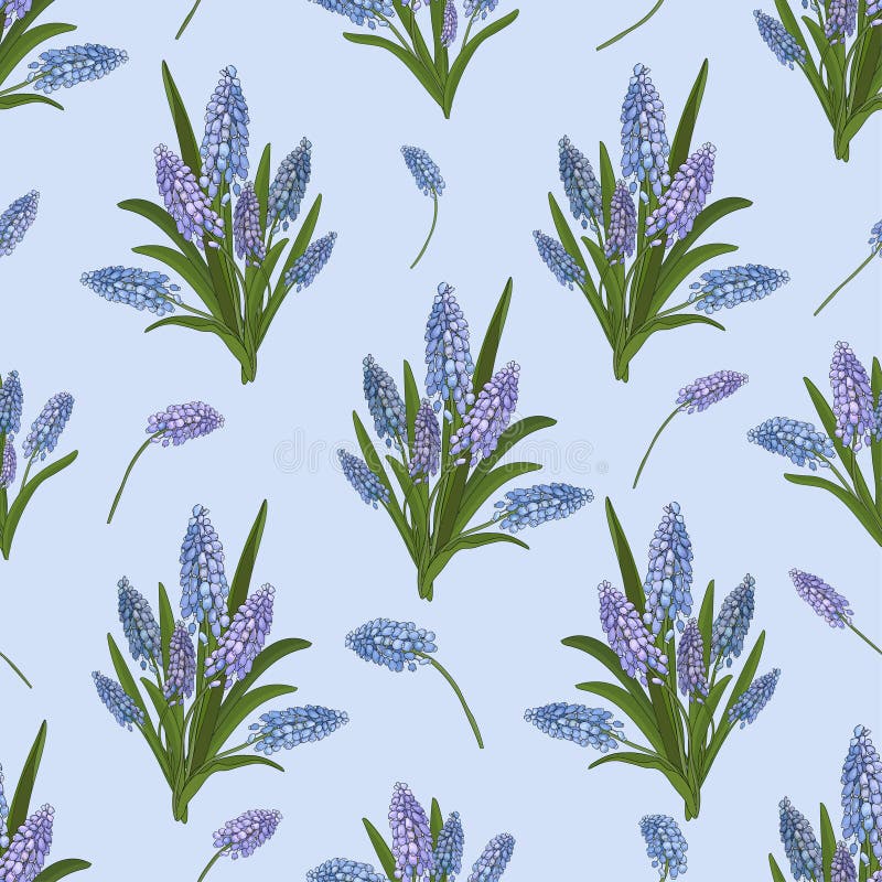 Modello senza cuciture dei mazzi del muscari blu dei fiori su un fondo blu Vettore illustrazione di stock Modello senza cuciture dei mazzi del muscari blu dei fiori su un fondo blu Vettore illustrazione di stock
