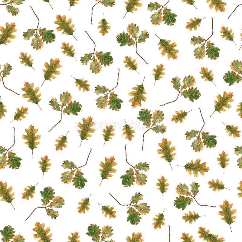 Modello senza cuciture dell'acquerello del ramo e delle foglie della quercia su un fondo bianco Illustrazione disegnata a mano Pe royalty illustrazione gratis Modello senza cuciture dell'acquerello del ramo e delle foglie della quercia su un fondo bianco Illustrazione disegnata a mano Pe royalty illustrazione gratis