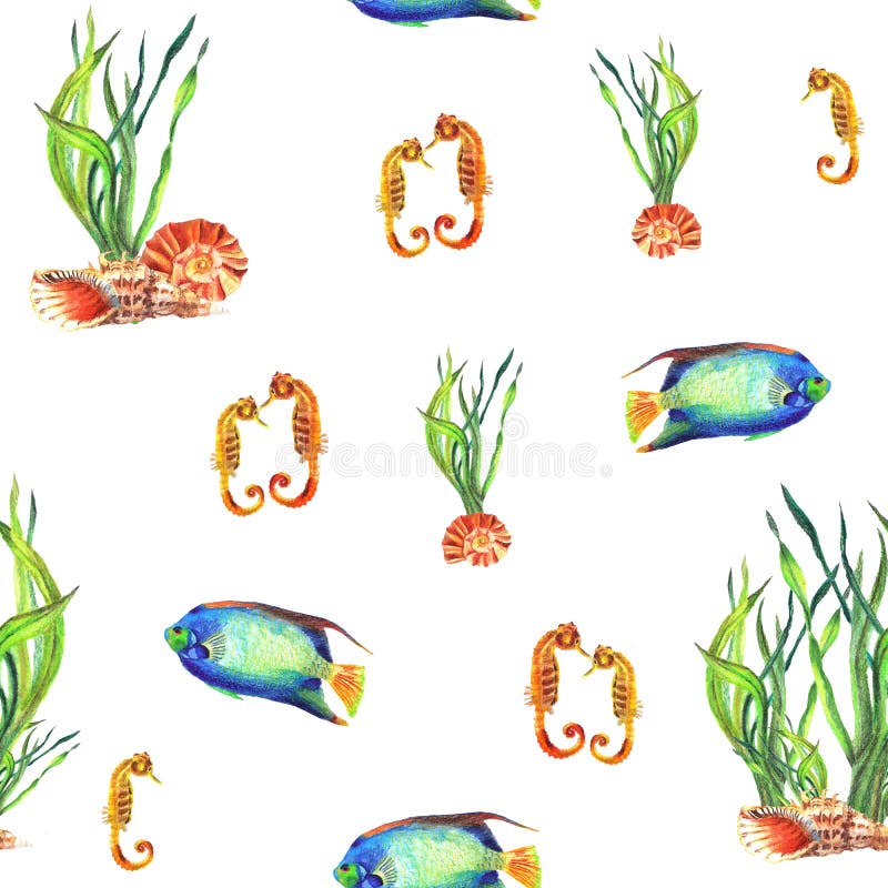 Modello senza cuciture dell'acquerello della pianta acquatica, coperture, ippocampo, Pomacanthus illustrazione di stock Modello senza cuciture dell'acquerello della pianta acquatica, coperture, ippocampo, Pomacanthus illustrazione di stock