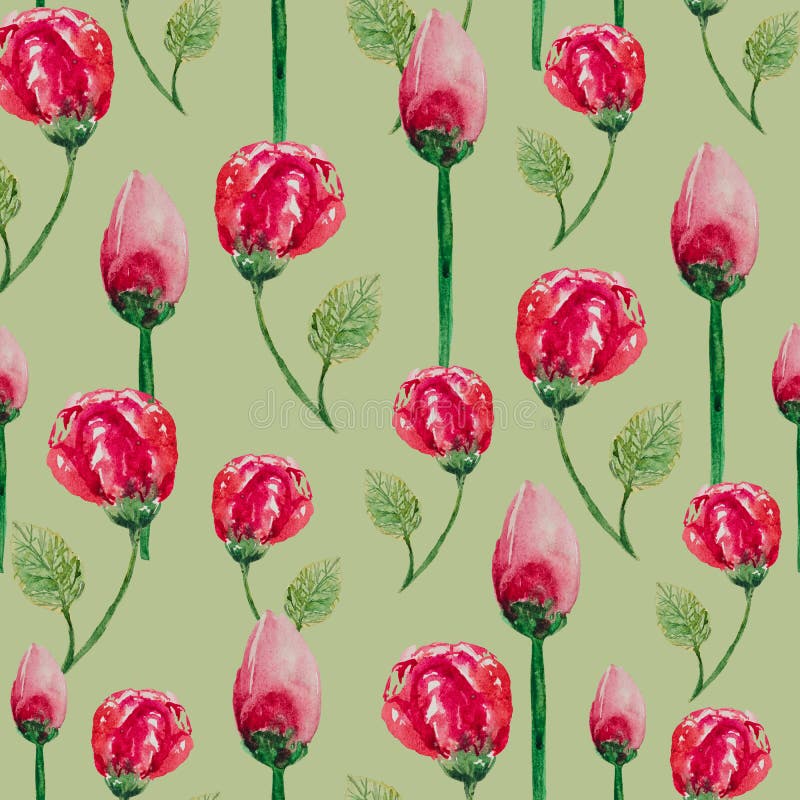 Modello senza cuciture dell'acquerello delle rose di tè su un fondo bianco illustrazione di stock Modello senza cuciture dell'acquerello delle rose di tè su un fondo bianco illustrazione di stock