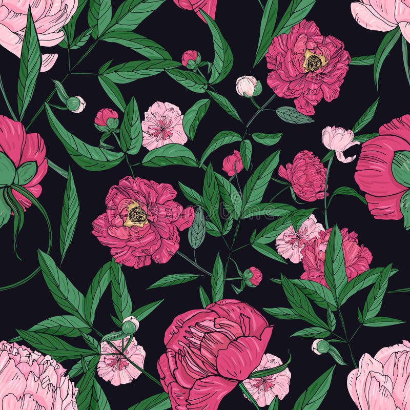 Modello senza cuciture delle belle peonie Il fiore disegnato a mano fiorisce, germogli e foglie Illustrazione variopinta di vetto royalty illustrazione gratis Modello senza cuciture delle belle peonie Il fiore disegnato a mano fiorisce, germogli e foglie Illustrazione variopinta di vetto royalty illustrazione gratis