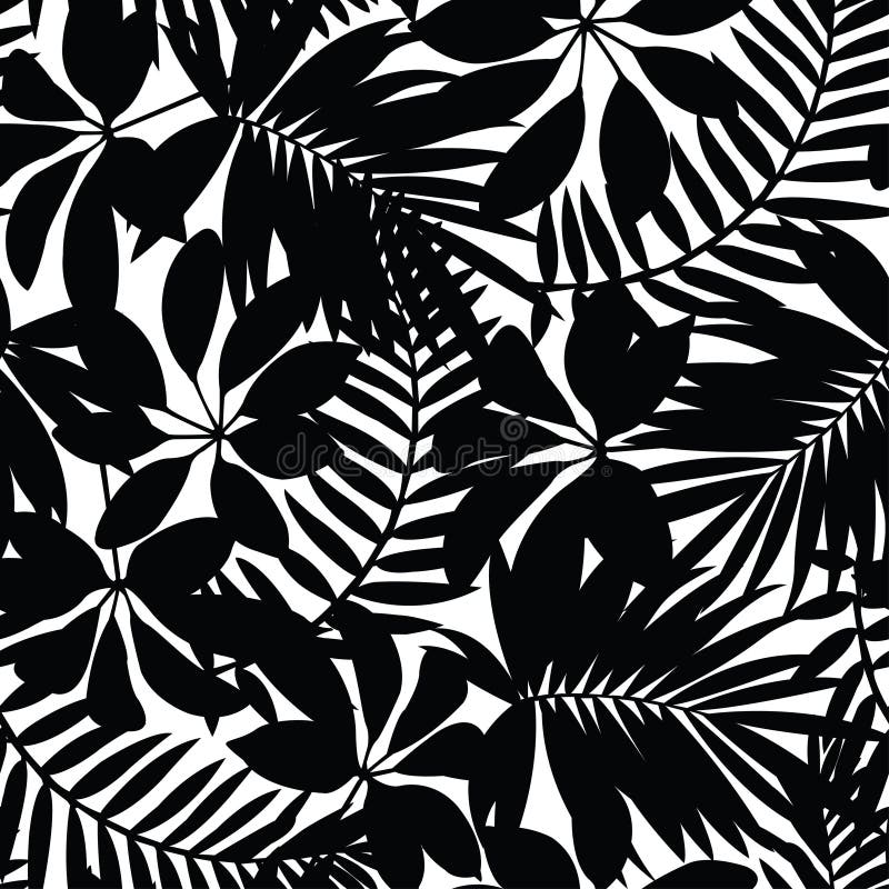 Modello senza cuciture delle foglie tropicali in bianco e nero illustrazione di stock Modello senza cuciture delle foglie tropicali in bianco e nero illustrazione di stock