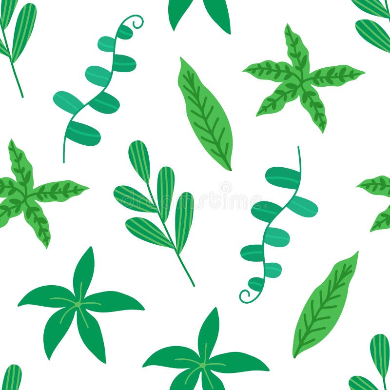 modello senza cuciture delle foglie tropicali su fondo bianco Priorit? bassa floreale Fogliame tropicale disegnato a mano Modello illustrazione di stock modello senza cuciture delle foglie tropicali su fondo bianco Priorit? bassa floreale Fogliame tropicale disegnato a mano Modello illustrazione di stock
