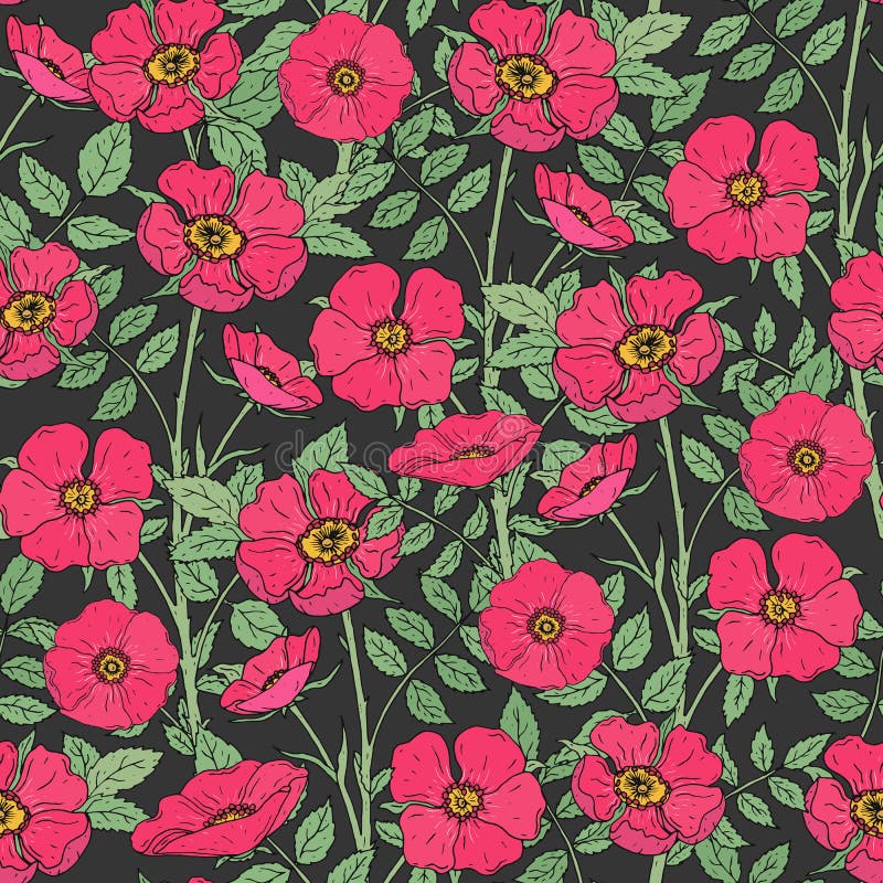 Modello senza cuciture floreale con le rose canine di fioritura, i gambi verdi e le foglie su fondo scuro Mano rosa elegante dei illustrazione di stock Modello senza cuciture floreale con le rose canine di fioritura, i gambi verdi e le foglie su fondo scuro Mano rosa elegante dei illustrazione di stock