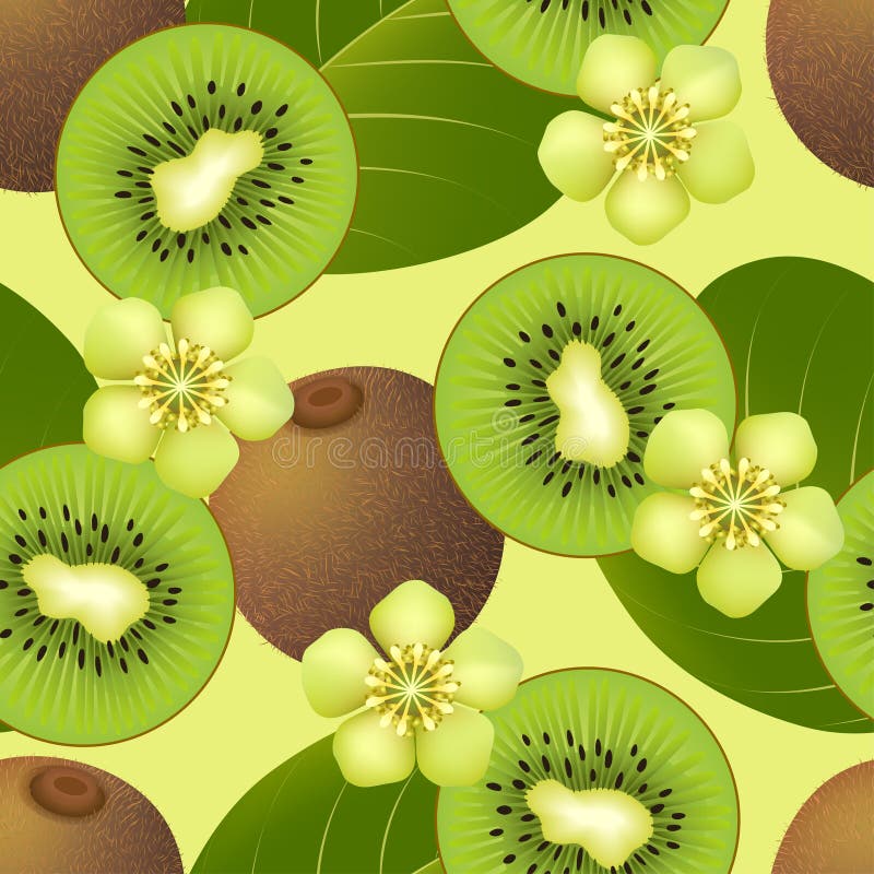 Modello senza cuciture fruttato con kiwi illustrazione vettoriale