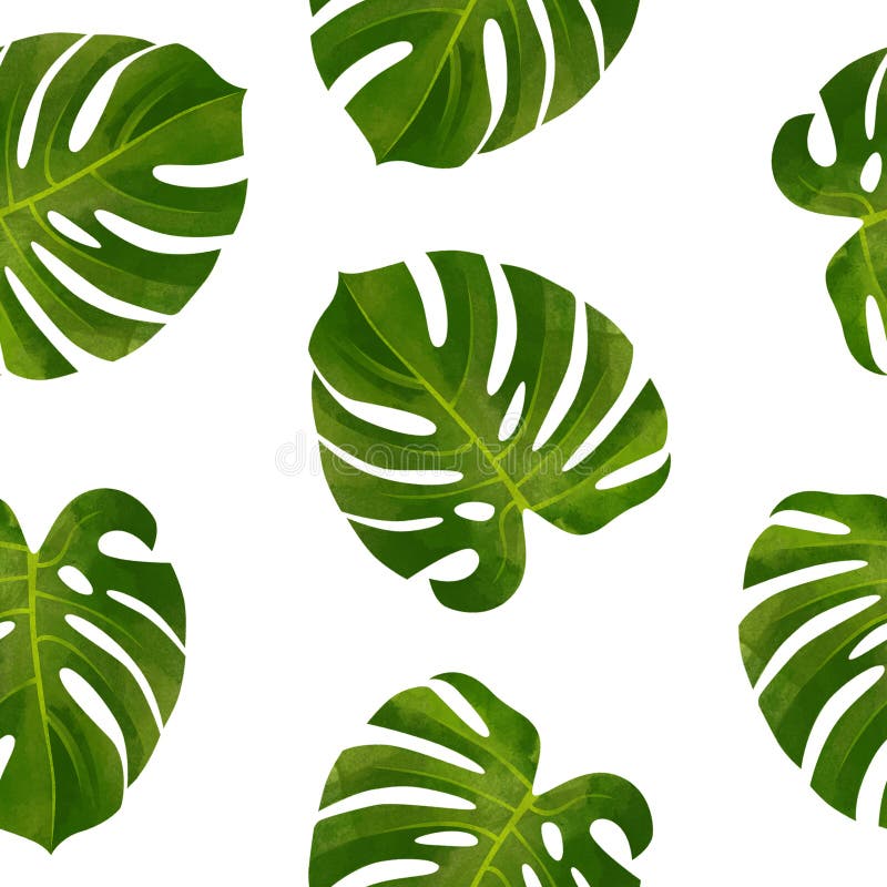 Modello senza cuciture tropicale con le foglie di Monstera Illustrazione botanica alla moda royalty illustrazione gratis Modello senza cuciture tropicale con le foglie di Monstera Illustrazione botanica alla moda royalty illustrazione gratis
