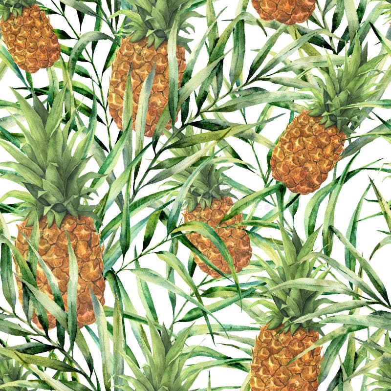 Modello tropicale dell'acquerello con l'ananas succoso Frutta tropicale dipinta a mano con le foglie di palma isolate su bianco illustrazione di stock Modello tropicale dell'acquerello con l'ananas succoso Frutta tropicale dipinta a mano con le foglie di palma isolate su bianco illustrazione di stock