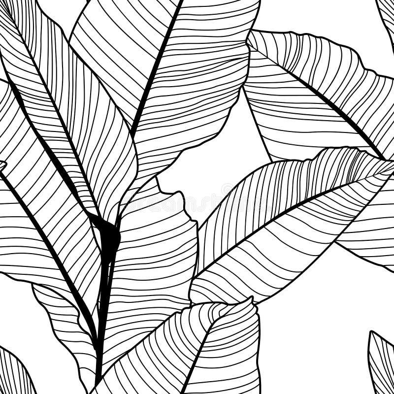 Modello tropicale della foglia della banana della giungla, in bianco e nero