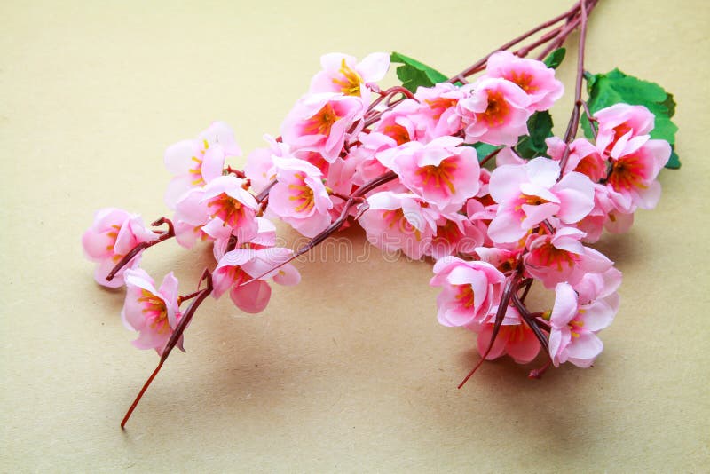 Modelo da flor de cerejeira imagem de stock Modelo da flor de cerejeira imagem de stock