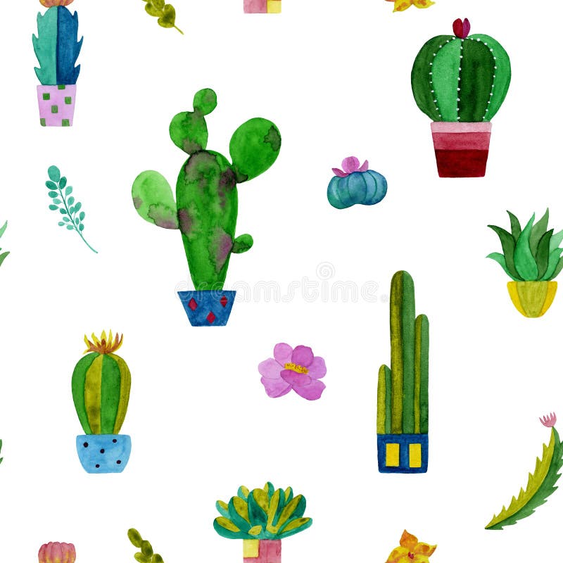 Modelo de la acuarela de cactus y de flores de los succulents ilustración del vector Modelo de la acuarela de cactus y de flores de los succulents ilustración del vector