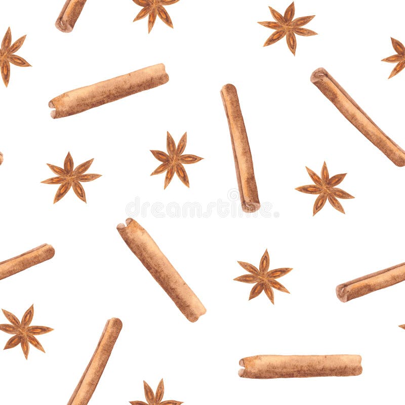 Modelo de la acuarela del canela de las especias en un fondo blanco ilustración del vector Modelo de la acuarela del canela de las especias en un fondo blanco ilustración del vector