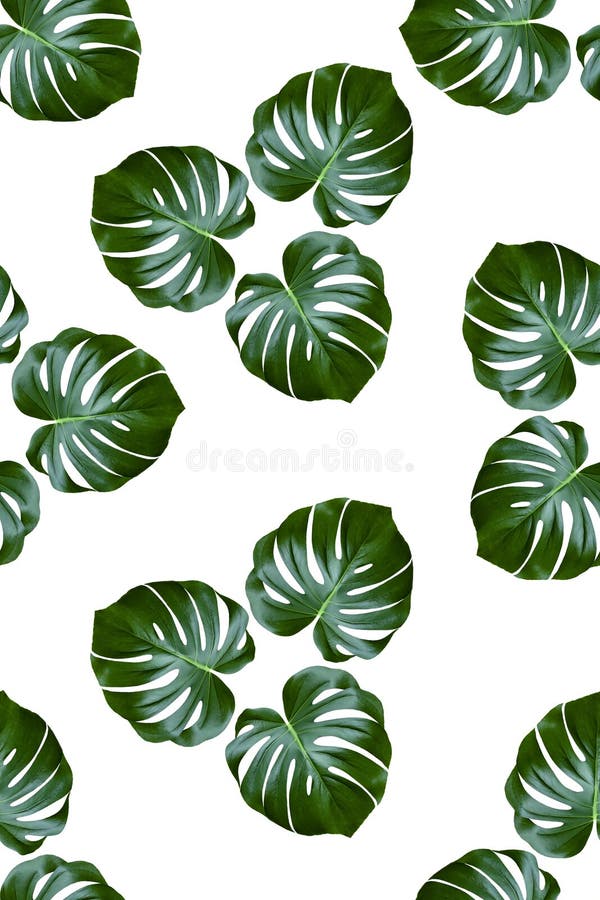 Modelo de la tela con las hojas de palma en un fondo blanco stock de ilustración Modelo de la tela con las hojas de palma en un fondo blanco stock de ilustración