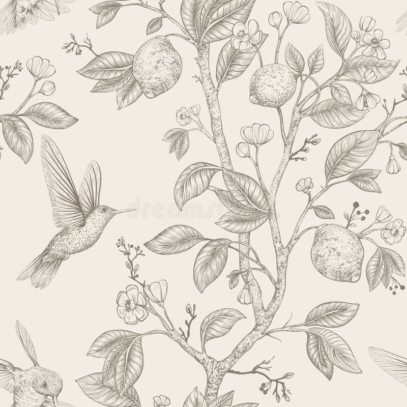 Modelo del bosquejo del vector con los pájaros y las flores Colibríes y flores, estilo retro, contexto de la naturaleza Monocromo ilustración del vector