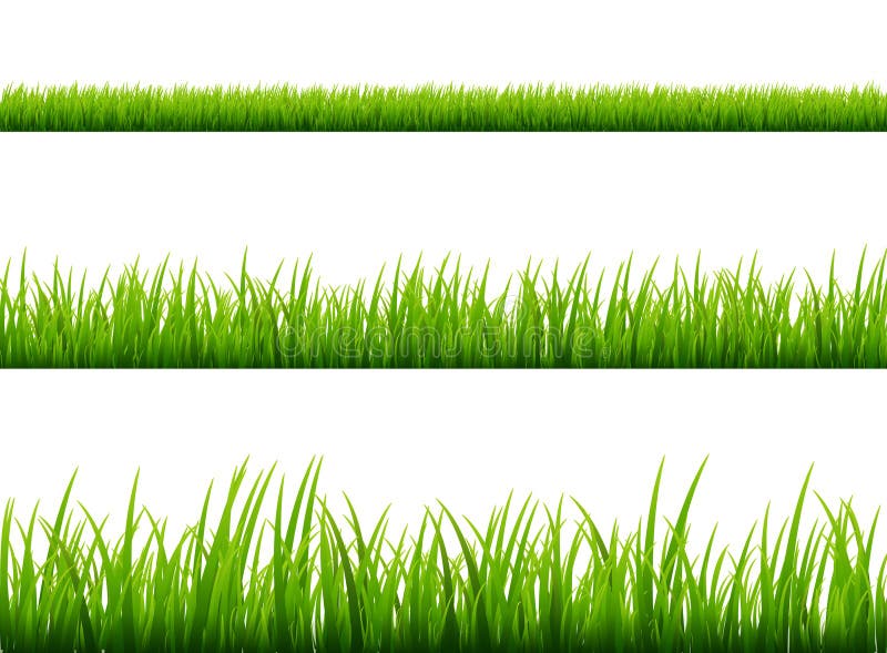 Modelo del vector de la frontera del prado de la hierba verde Césped del campo de la primavera o de la planta del verano Fondo de