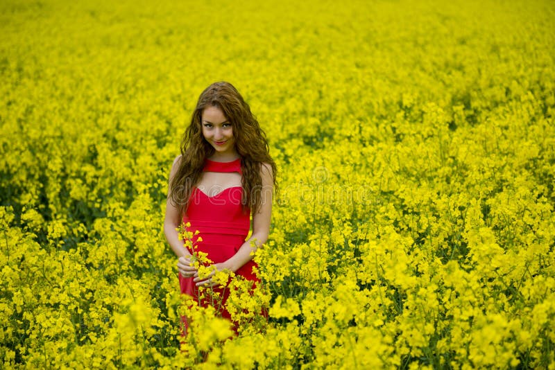 Linda modelo adolescente num campo de colza foto de stock royalty free