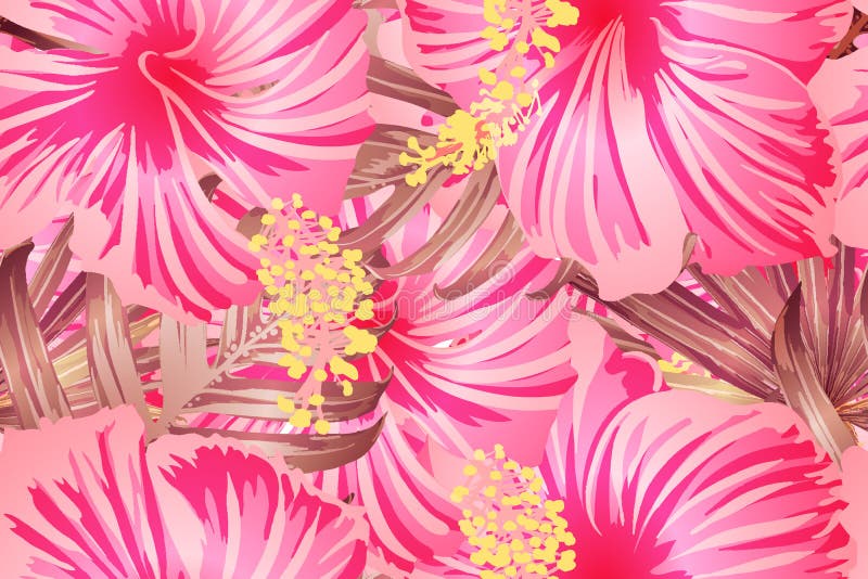 Modelo exótico rosado libre illustration Modelo exótico rosado libre illustration