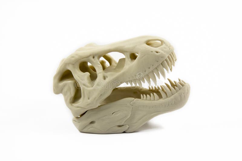 Of modelo impresso 3D um crânio do dinossauro imagem de stock Of modelo impresso 3D um crânio do dinossauro imagem de stock