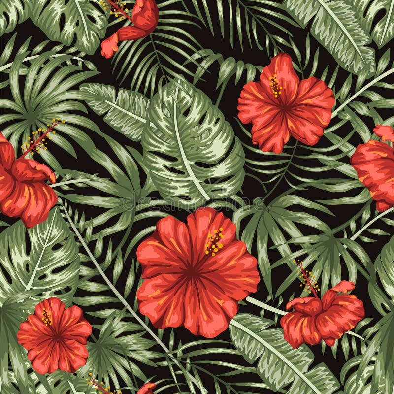 Modelo Inconsútil Del Vector De Hojas Tropicales Verdes Con Las Flores Rojas Del Hibisco En Fondo Negro Ilustración del Vector - Ilustración de selva, hawai: 147621552 Modelo Inconsútil Del Vector De Hojas Tropicales Verdes Con Las Flores Rojas Del Hibisco En Fondo Negro Ilustración del Vector - Ilustración de selva, hawai: 147621552