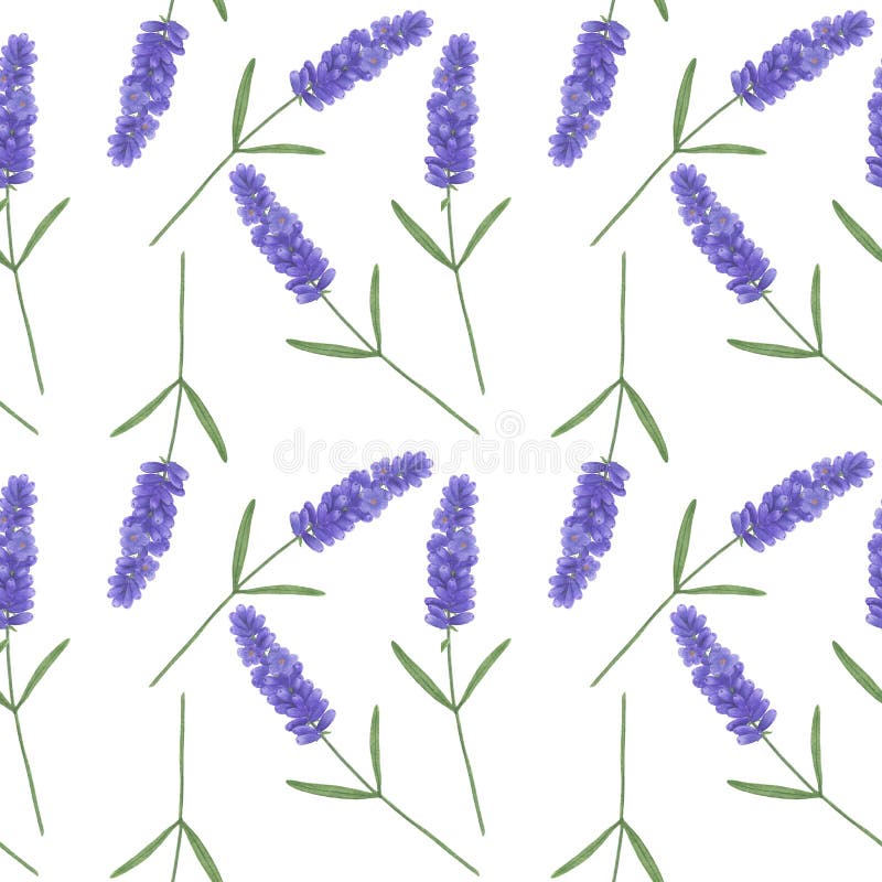 Modelo incons?til con lavanda de la acuarela Ejemplo del texto de papel de Digitaces de las hojas hechas a mano florales de las t stock de ilustración Modelo incons?til con lavanda de la acuarela Ejemplo del texto de papel de Digitaces de las hojas hechas a mano florales de las t stock de ilustración