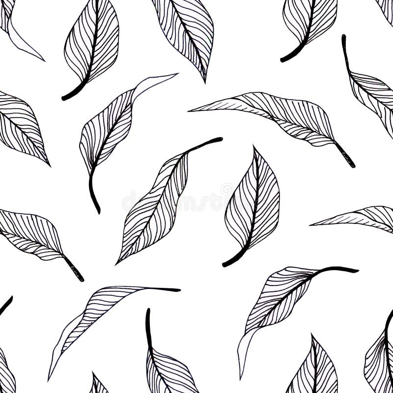Modelo incons?til Ornamento gr?fico Fondo elegante floral libre illustration Modelo incons?til Ornamento gr?fico Fondo elegante floral libre illustration