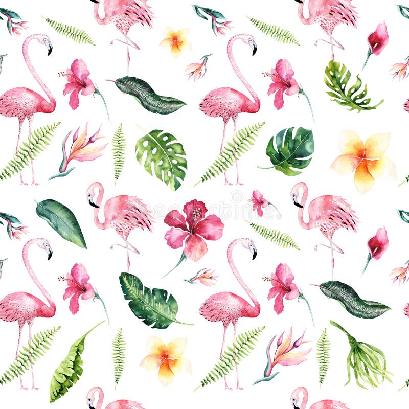 Modelo inconsútil aislado tropical con el flamenco Dibujo tropical de la acuarela, pájaro color de rosa y palmera del verdor, tró stock de ilustración Modelo inconsútil aislado tropical con el flamenco Dibujo tropical de la acuarela, pájaro color de rosa y palmera del verdor, tró stock de ilustración