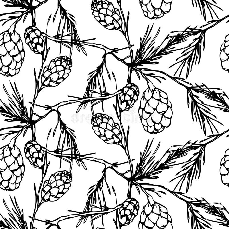 Modelo inconsútil blanco y negro del vector con el árbol de abeto stock de ilustración Modelo inconsútil blanco y negro del vector con el árbol de abeto stock de ilustración