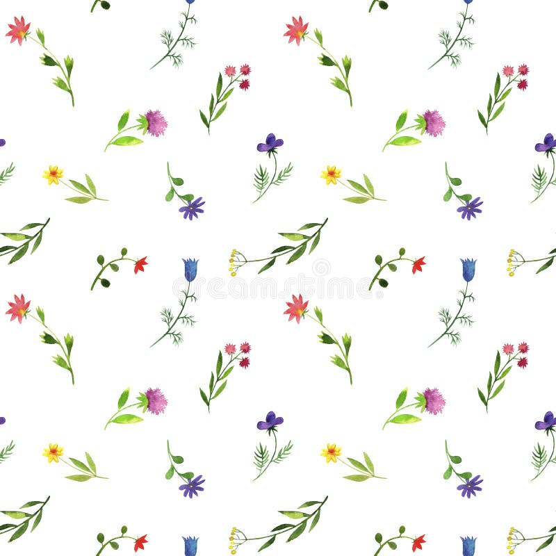 Modelo inconsútil con las plantas y las flores del garabato de la acuarela stock de ilustración Modelo inconsútil con las plantas y las flores del garabato de la acuarela stock de ilustración