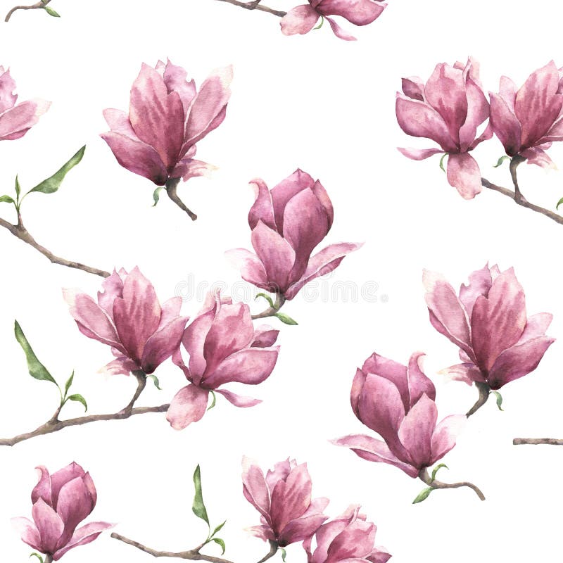 Modelo inconsútil de la acuarela con la magnolia Ornamento floral pintado a mano aislado en el fondo blanco Flor rosada para stock de ilustración Modelo inconsútil de la acuarela con la magnolia Ornamento floral pintado a mano aislado en el fondo blanco Flor rosada para stock de ilustración