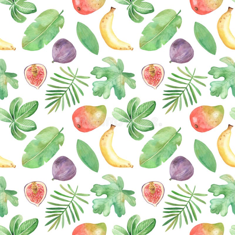 Modelo inconsútil de la acuarela con las frutas, plantas, hojas, flores de África ilustración del vector Modelo inconsútil de la acuarela con las frutas, plantas, hojas, flores de África ilustración del vector
