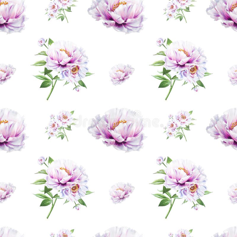 Modelo inconsútil de la peonía blanca hermosa Ramo de flores Textura floral Dibujo del marcador stock de ilustración Modelo inconsútil de la peonía blanca hermosa Ramo de flores Textura floral Dibujo del marcador stock de ilustración