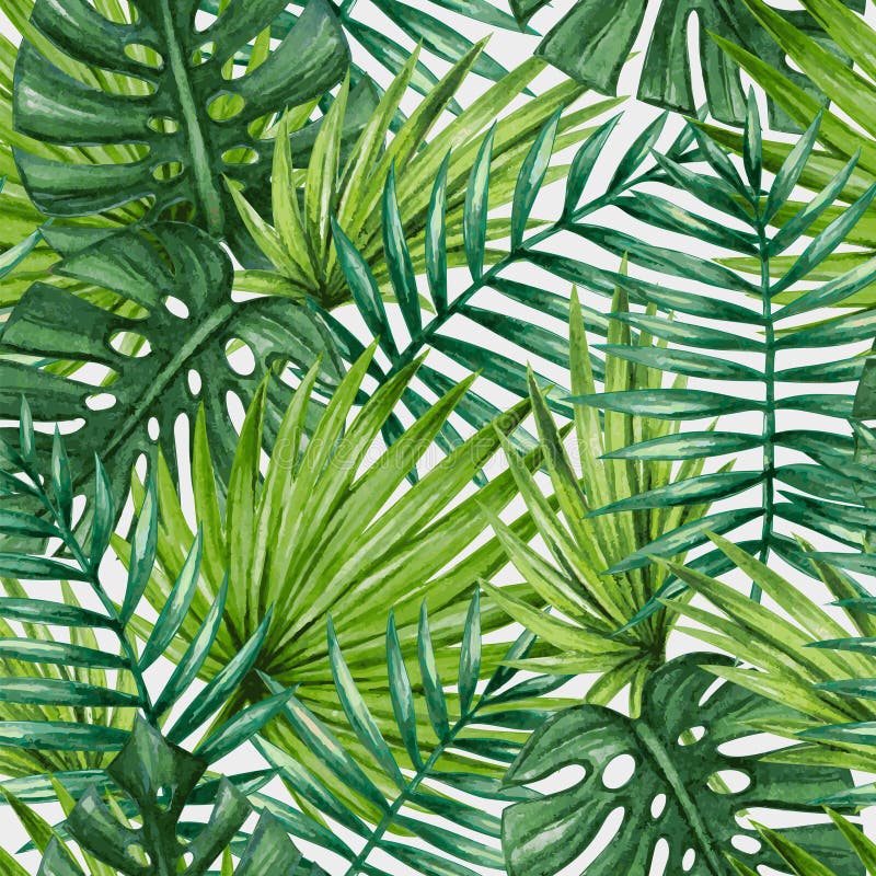 Modelo inconsútil de las hojas de palma tropicales de la acuarela
