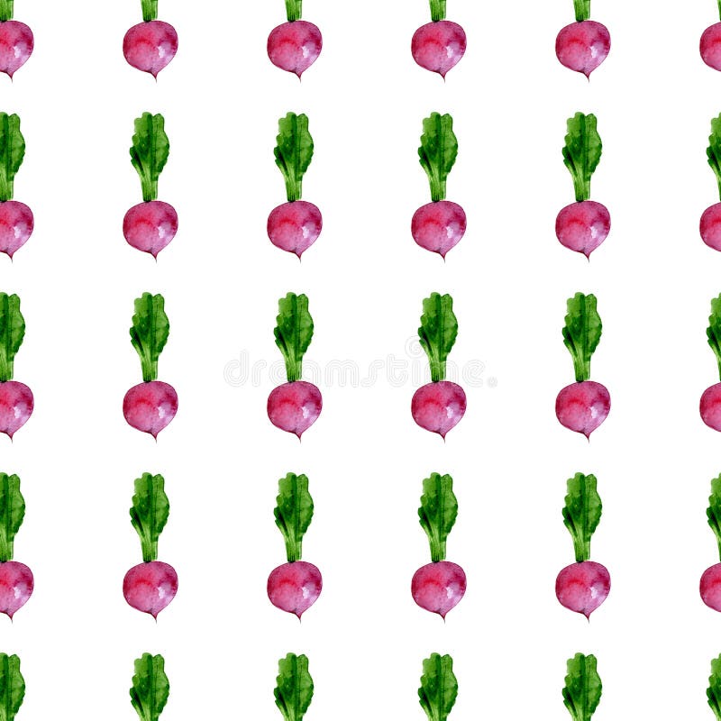 Modelo inconsútil de las remolachas de la acuarela en el fondo blanco stock de ilustración Modelo inconsútil de las remolachas de la acuarela en el fondo blanco stock de ilustración
