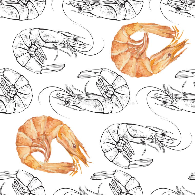 Modelo inconsútil de los camarones Ejemplo blanco y negro w del contorno ilustración del vector Modelo inconsútil de los camarones Ejemplo blanco y negro w del contorno ilustración del vector