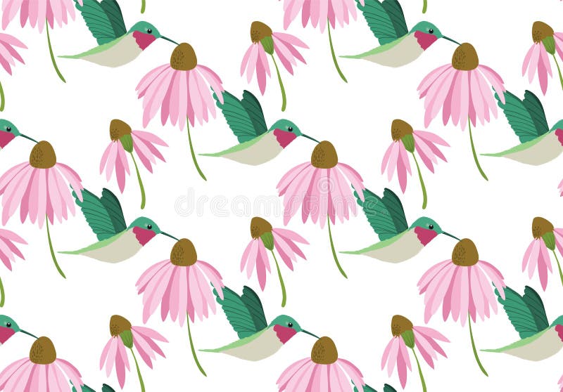 Modelo inconsútil de los colibríes coloridos del vector en el fondo blanco con las flores rosadas libre illustration Modelo inconsútil de los colibríes coloridos del vector en el fondo blanco con las flores rosadas libre illustration