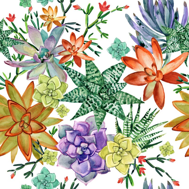Modelo inconsútil de los Succulents el cactus planta el ejemplo de la acuarela libre illustration Modelo inconsútil de los Succulents el cactus planta el ejemplo de la acuarela libre illustration