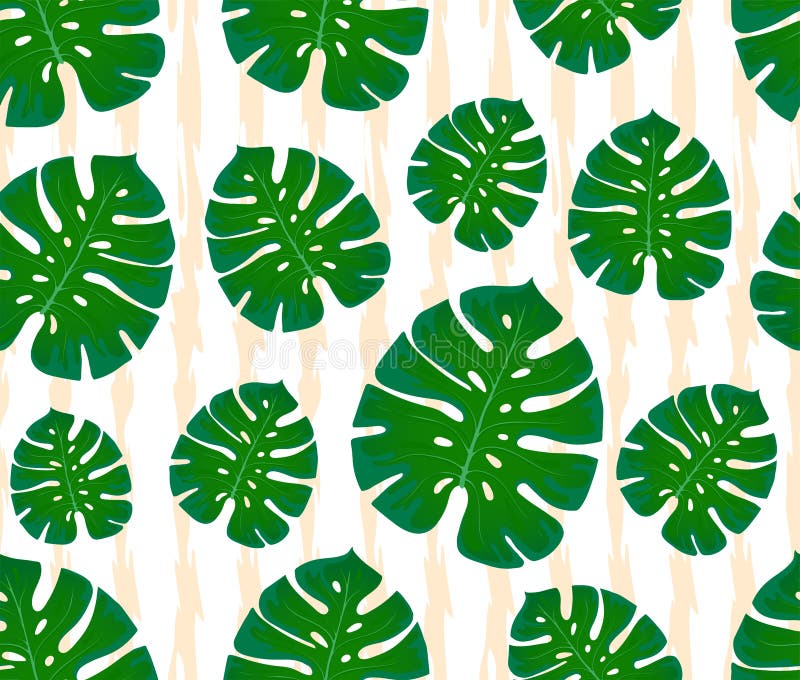 Modelo inconsútil de Monstera impresión con las hojas Diseño de materias textiles y de telas Hojas de palma de moda en un fondo a ilustración del vector Modelo inconsútil de Monstera impresión con las hojas Diseño de materias textiles y de telas Hojas de palma de moda en un fondo a ilustración del vector