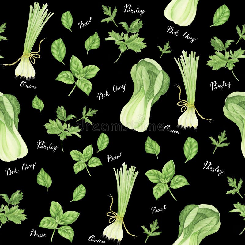 Modelo inconsútil de verduras verdes con las letras: cebolla, perejil, albahaca y bok choy, pintura de la acuarela stock de ilustración Modelo inconsútil de verduras verdes con las letras: cebolla, perejil, albahaca y bok choy, pintura de la acuarela stock de ilustración