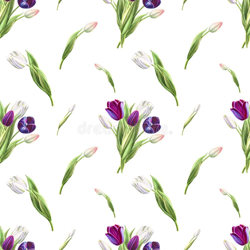 Modelo inconsútil del tulipán blanco y negro hermoso Dibujo del marcador Pintura de la acuarela stock de ilustración Modelo inconsútil del tulipán blanco y negro hermoso Dibujo del marcador Pintura de la acuarela stock de ilustración