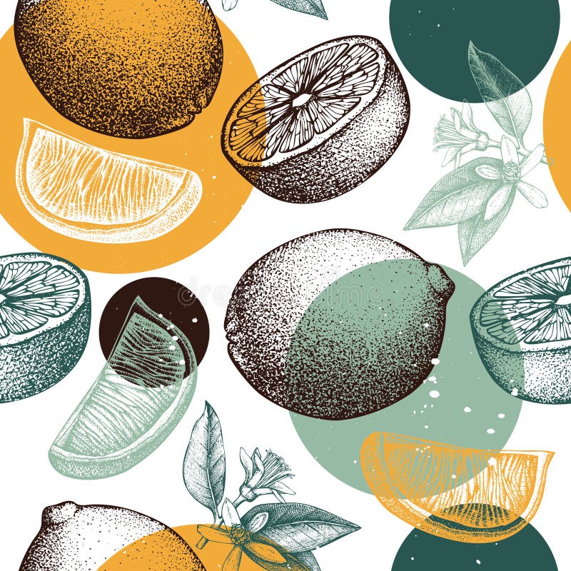 Modelo inconsútil del vector con bosquejo anaranjado exhausto de la fruta, de las flores y de las hojas de la mano de la tinta Fo ilustración del vector Modelo inconsútil del vector con bosquejo anaranjado exhausto de la fruta, de las flores y de las hojas de la mano de la tinta Fo ilustración del vector