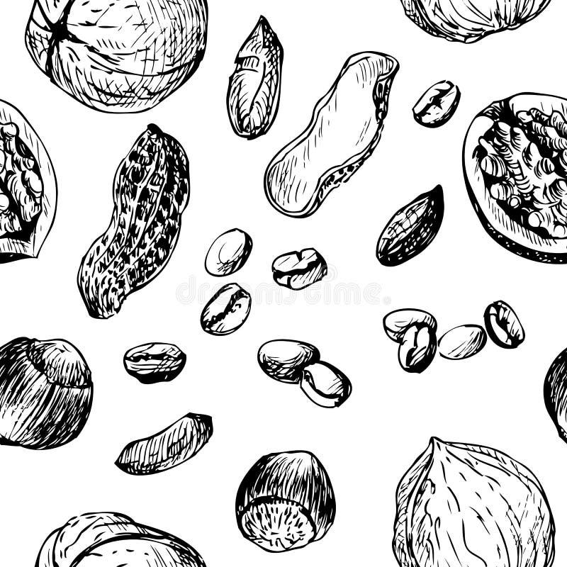 Modelo inconsútil del vector con las nueces un café stock de ilustración Modelo inconsútil del vector con las nueces un café stock de ilustración