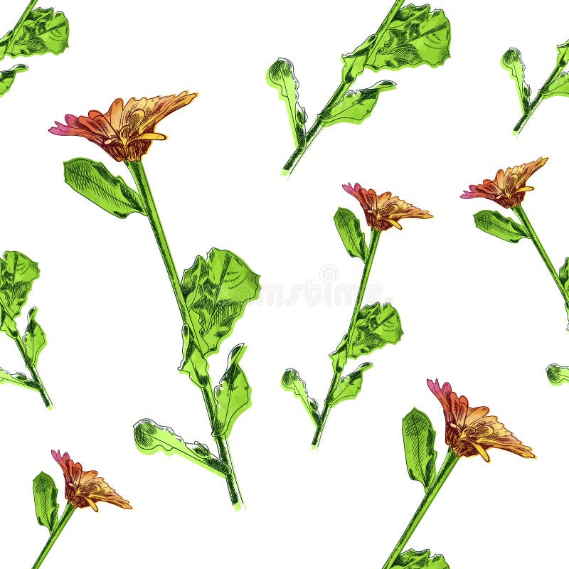 Modelo inconsútil del vector, fondo floral, flor con los dibujos de las hojas, ejemplo pintado acuarela ilustración del vector Modelo inconsútil del vector, fondo floral, flor con los dibujos de las hojas, ejemplo pintado acuarela ilustración del vector